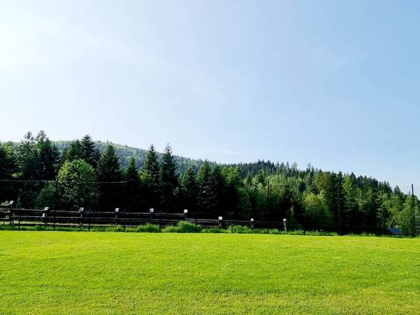 Domki Całoroczne Na Borach
