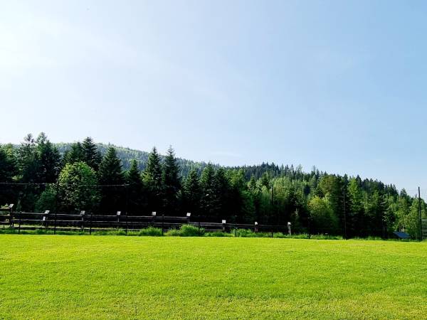 Domki Całoroczne Na Borach