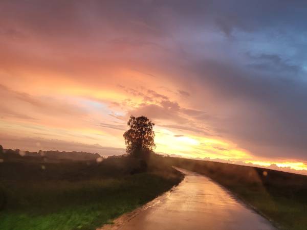 Miodowy Domek na Mazurach