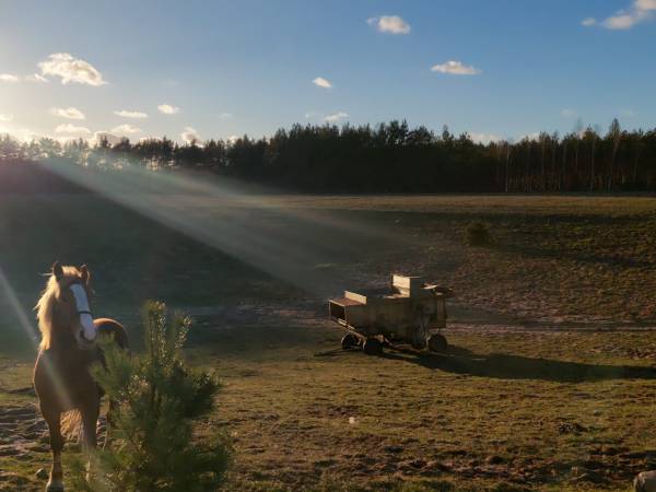 Agroturystyka Kaszuby Pod Morwą