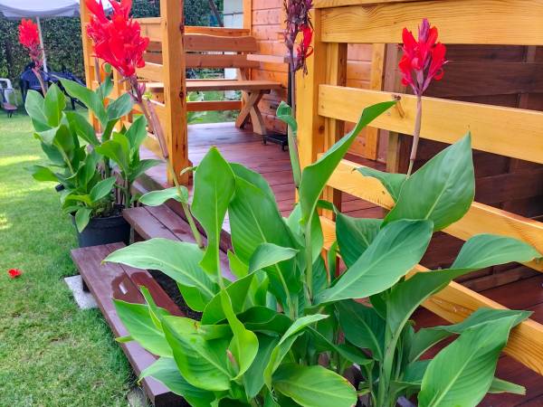 Domki letniskowe w Stegnie TIJA