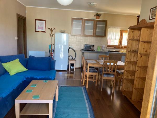 pokój dzinny w apartamencie