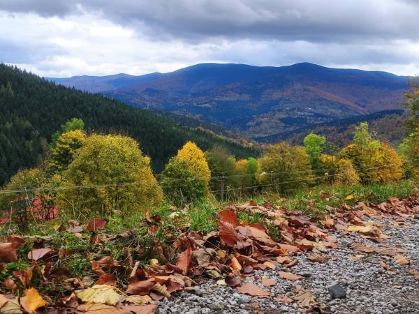 Zacisze na Wzgórzu (ex. Zawoja u Jaca)
