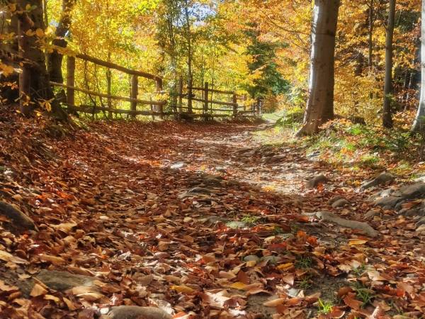 Zacisze na Wzgórzu (ex. Zawoja u Jaca)