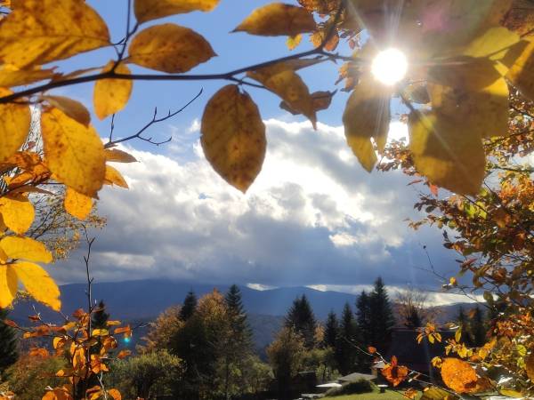 Zacisze na Wzgórzu (ex. Zawoja u Jaca)