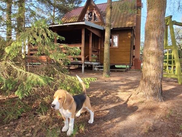 Dom Pracy Twórczej Rybaczówka