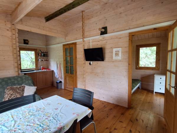 Leśny - widok z salonu 