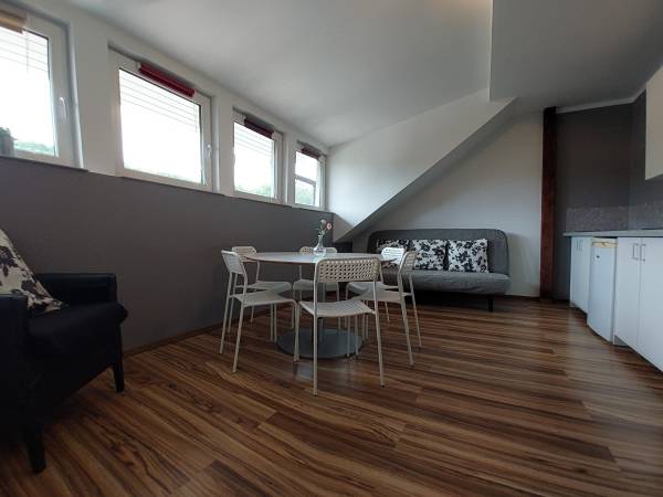 Apartament nr 4 - pokój dzienny z aneksem kuchennym