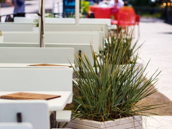 Pensjonat Wielorybek