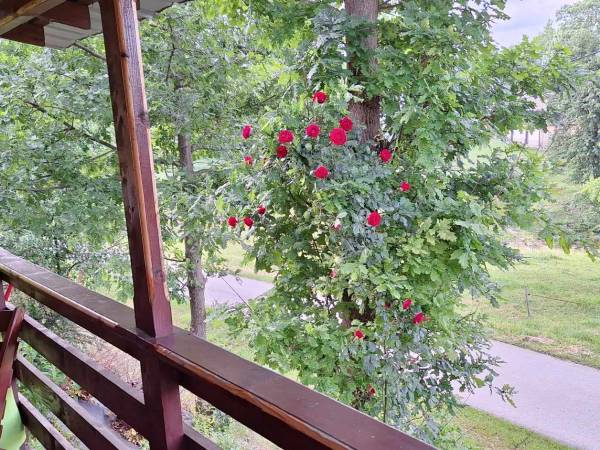 Weranda domek parter