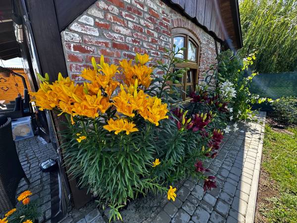 Luxdomki Kąty Rybackie