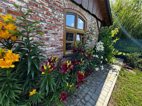 Luxdomki Kąty Rybackie