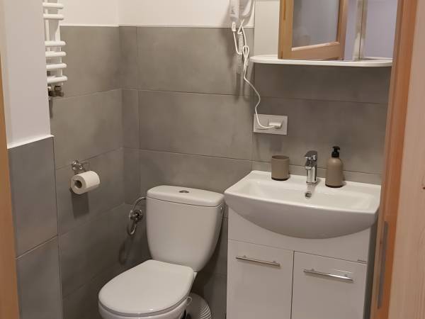 Apartament dół-łazienka