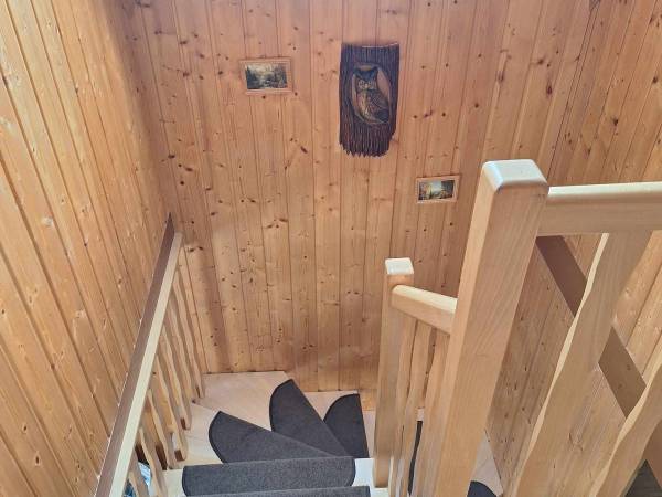 Całoroczne domki pod lasem