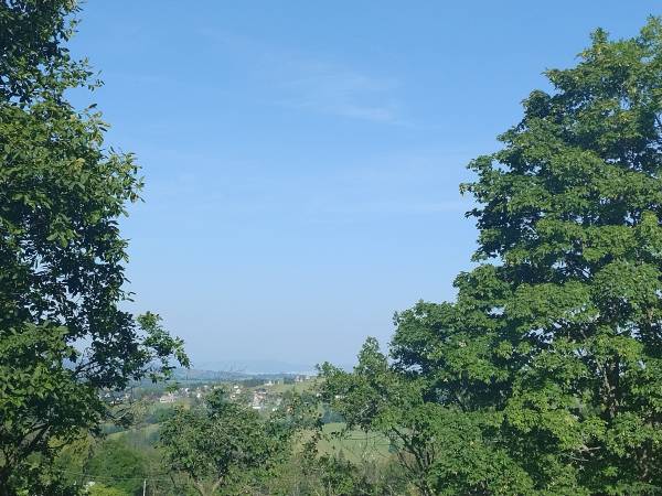 Dużo zieleni wokół 