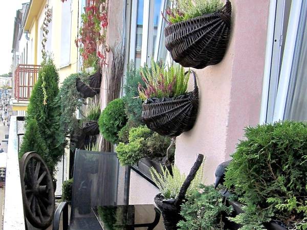 Apartament Gdynia Centrum