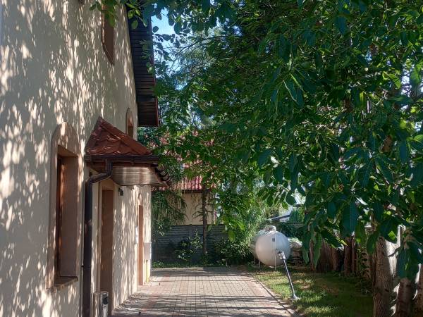 Nocleg w cieniu drzew.