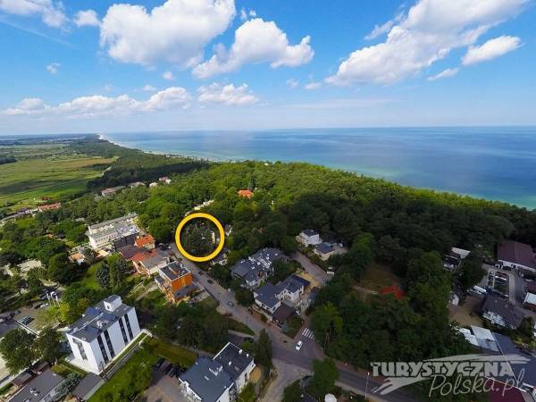 Pokoje Gościnne Adam