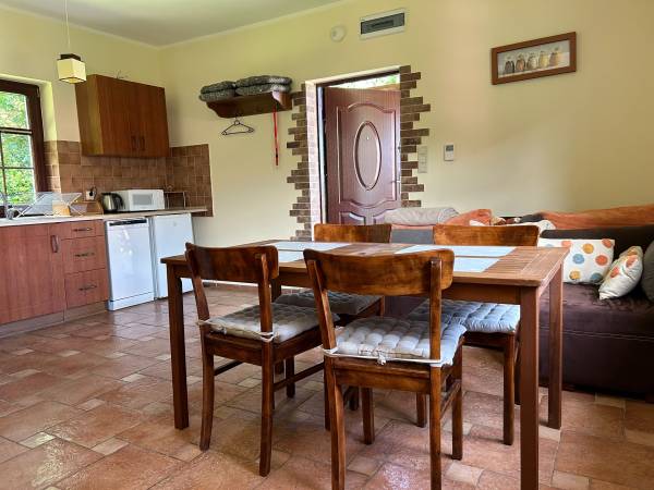 Pokój dzienny z aneksem kuchennym - domek z dwiema sypialniami.