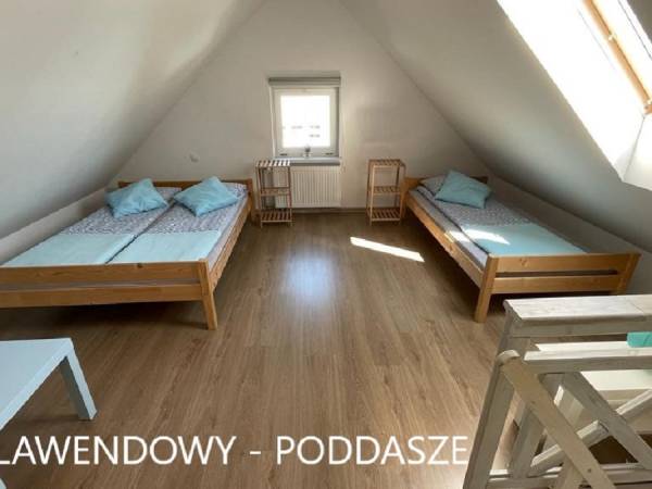 LAWENDOWY - poddasze
