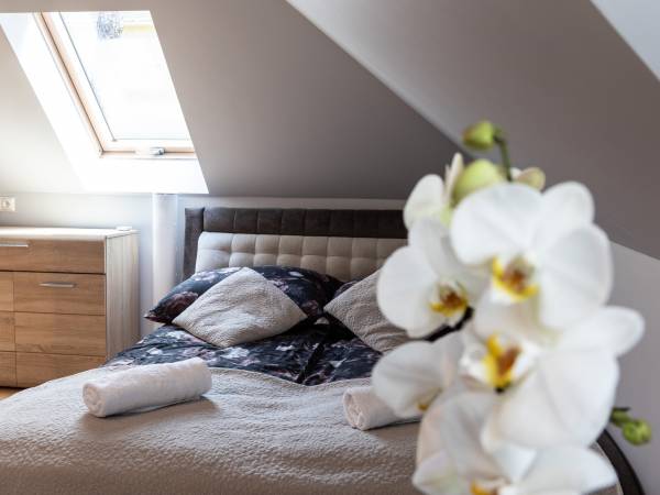 Biała Orchidea Pobierowo 