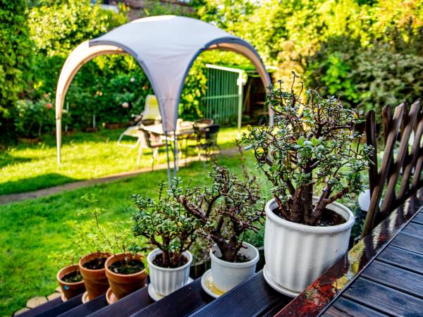 Kwatery RYDZ Częstochowa Ogród