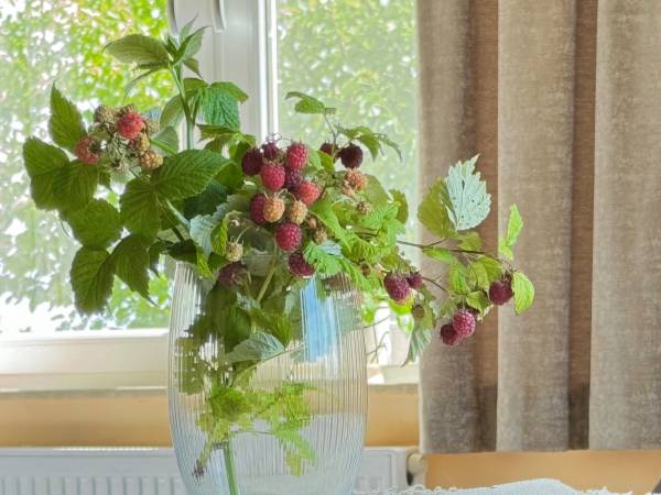 Pokój nr. 3 z prywatną łazienką 