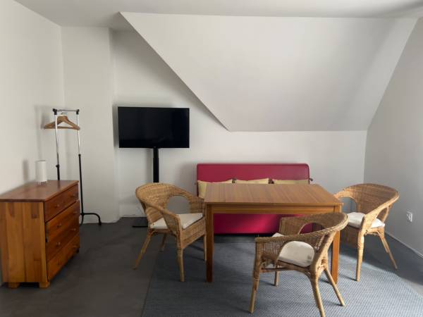 Apartament z widokiem na... jezioro, las, oraz ciszę w Swornychgaciach