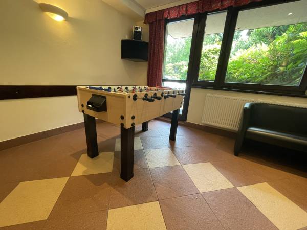 Sasanka przy Gondoli