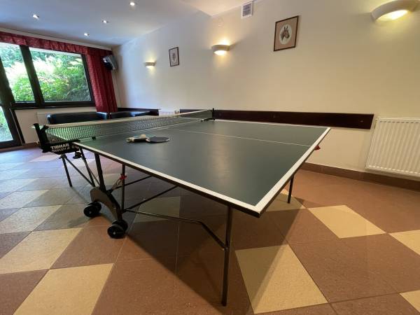 Sasanka przy Gondoli