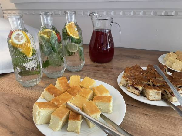 Sasanka przy Gondoli