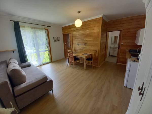 Salon w domku sosnowym z aneksem kuchennym I kanapą z funkcją spania