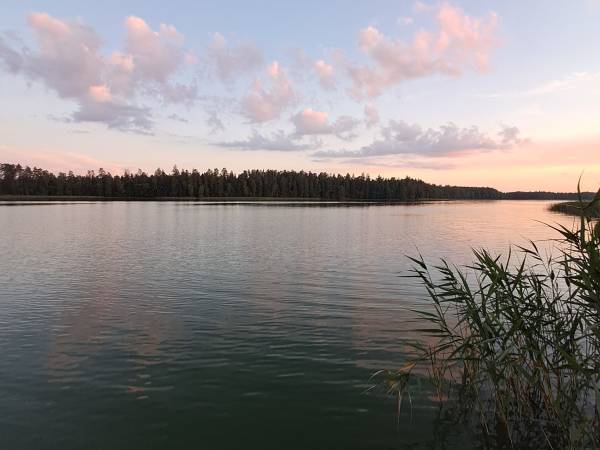 Eliza Dom Nad Jeziorem w Puszczy Augustowskiej