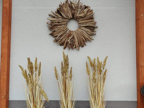 Pokoje Gościnne Kameralnie