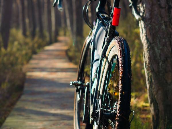 Siedlisko Poleski Zakątek Zagłębocze