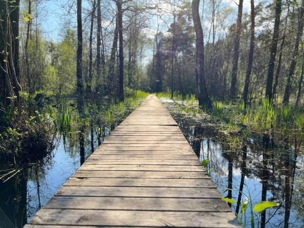 Siedlisko Poleski Zakątek Zagłębocze