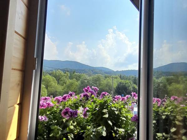 Domek wypoczynkowy Aruba