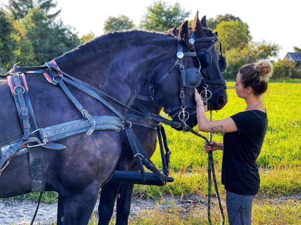 Siedlisko Poleski Zakątek Zagłębocze