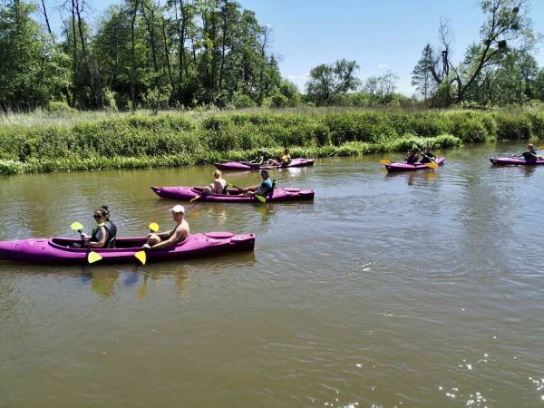 Siedlisko Poleski Zakątek Zagłębocze