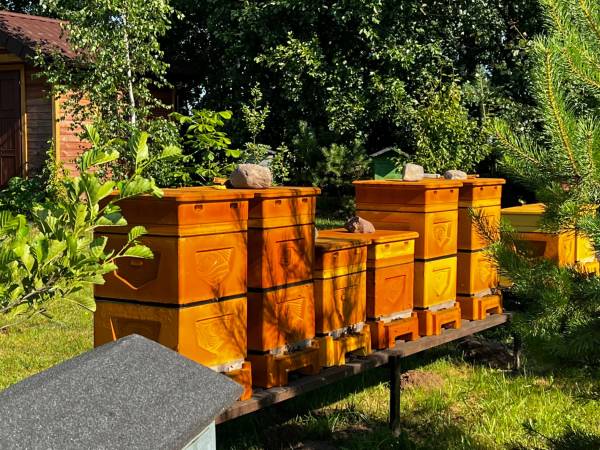 Siedlisko Poleski Zakątek Zagłębocze