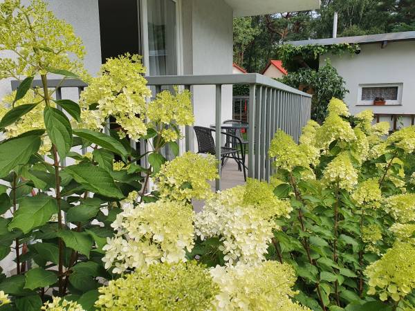 Pokoje Gościnne- Grażyna Kwiek 