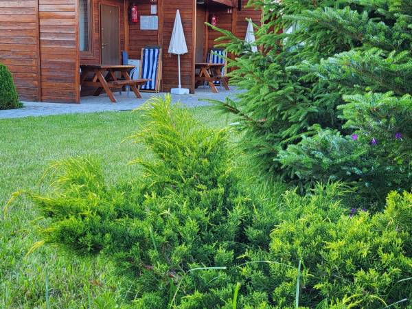 Sarbinowo Modrzewiowe domki nad morzem