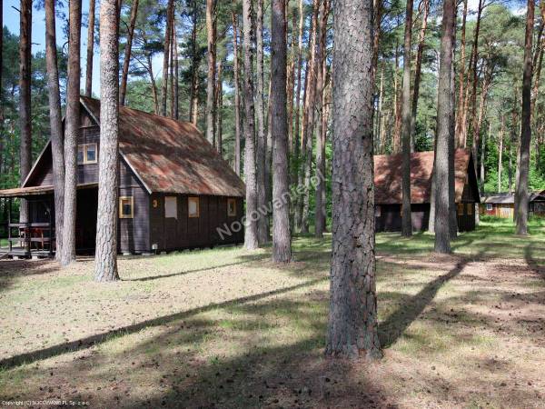 Ośrodek Szkoleniowo - Wypoczynkowy Malinówka