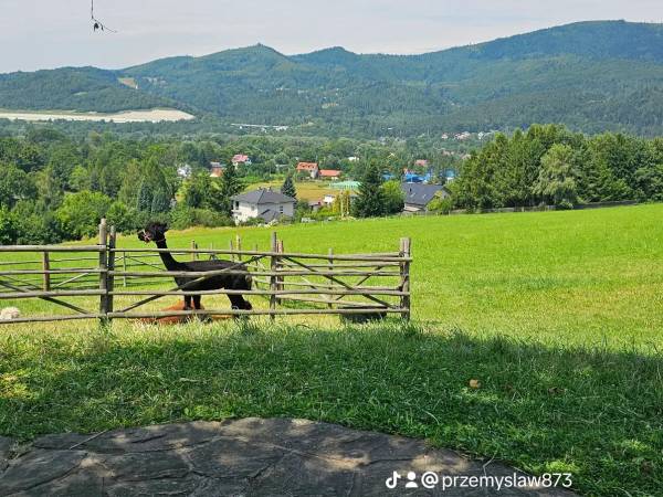 Dom Wypoczynkowy Leśniczówka 18 Węgierska Górka