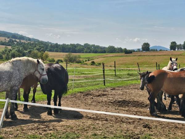 Dom Wypoczynkowy Leśniczówka 18 Węgierska Górka