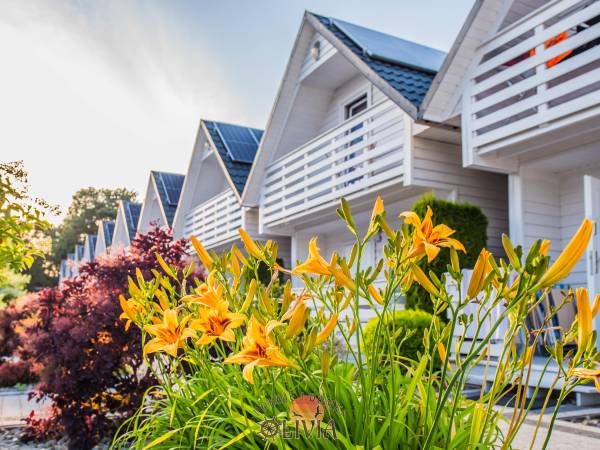 Pokoje i Domki Olivia