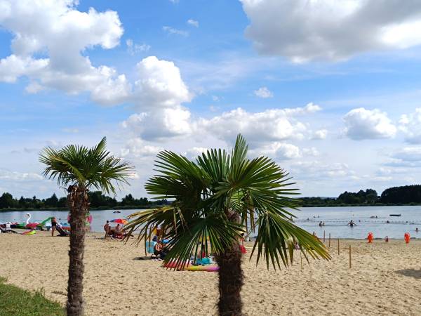 Zalew Miejski w Zamościu