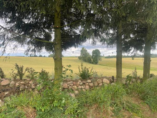 Siedlisko Żywe Kamienie