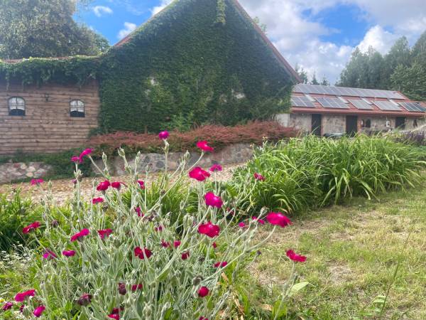 Siedlisko Żywe Kamienie