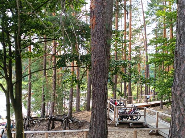 Apartament Slowly Zamość - na wyłączność, z ogrodem